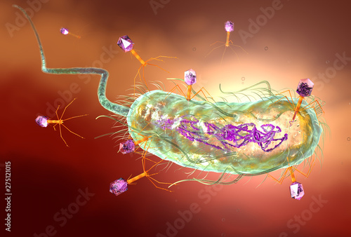 Foto Bacteriophage attacking E