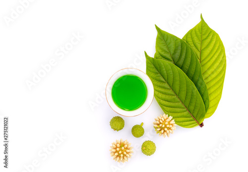 Leaves, flowers, fruits and liquid of Kratom or mitragynine on white background isolated photo