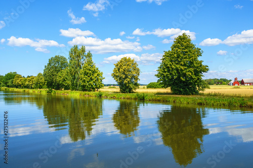 Trees at a river with water reflections in the summer
