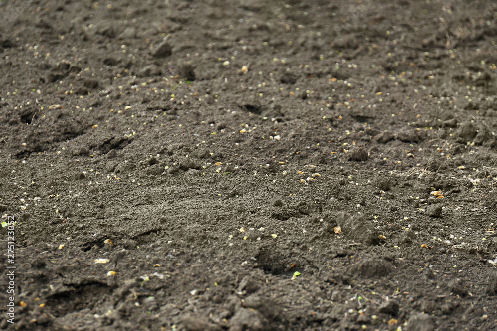 Textured ground surface as background, closeup. Fertile soil for farming and gardening Textured ground surface as background, closeup. Fertile soil for farming and gardening