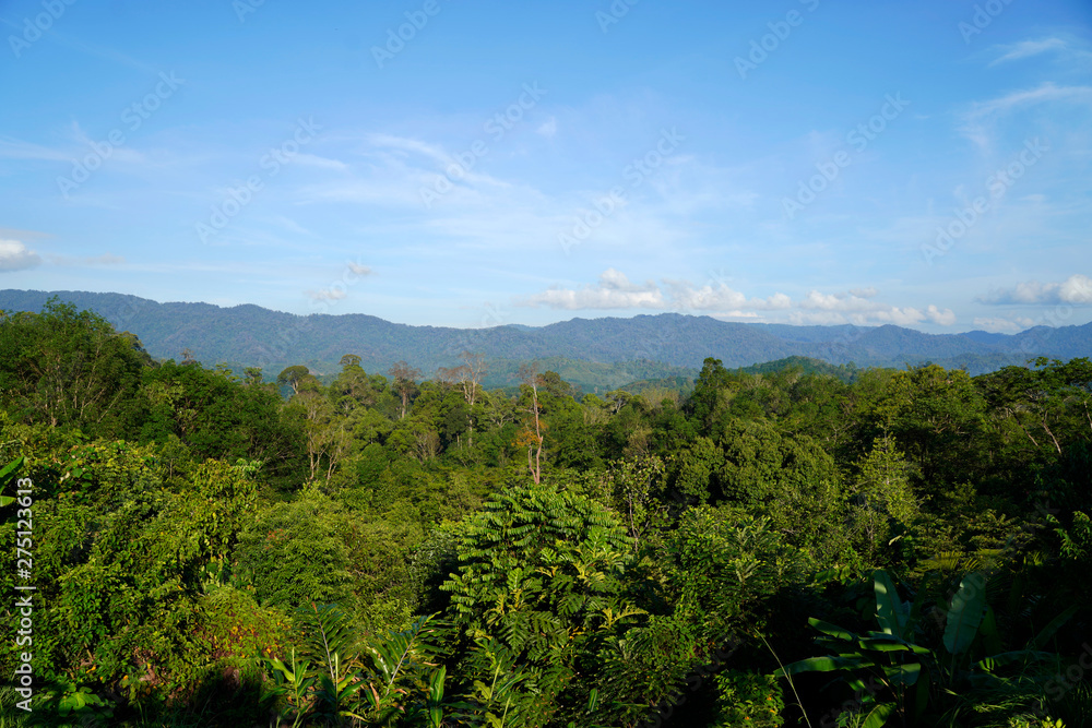Bright background sky Fertile mountains And enjoy, with your eyes and the sky clear, in Pattani Province, Thailand