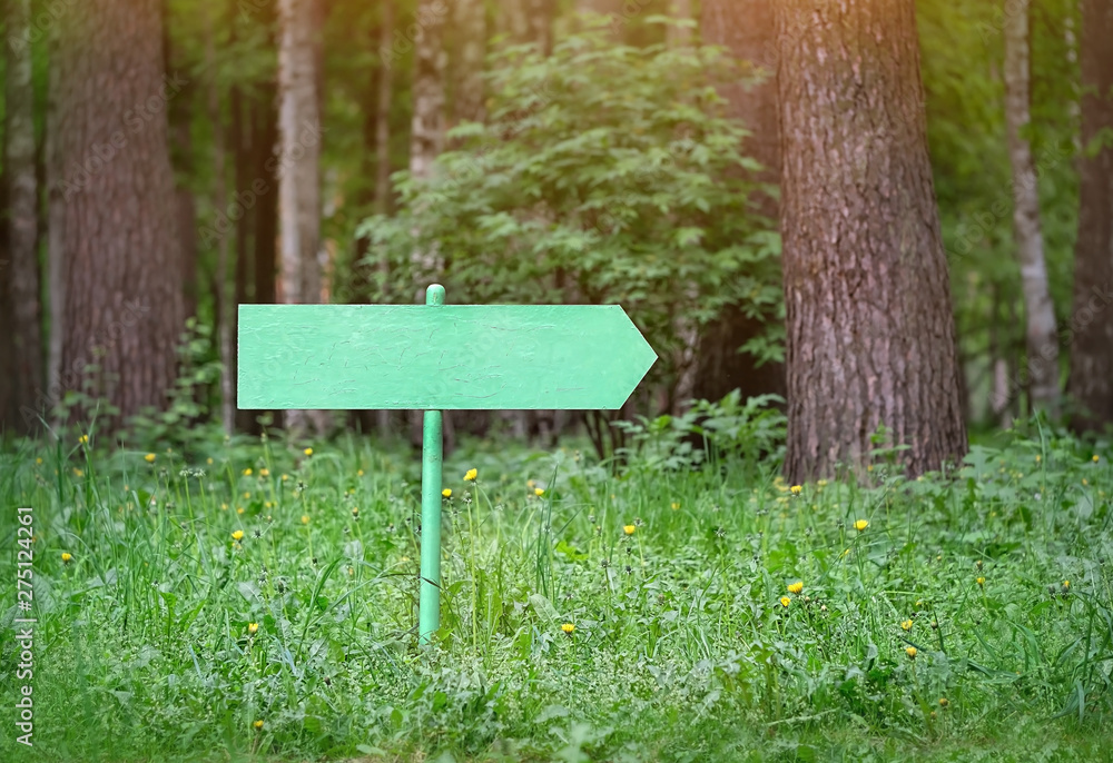 Empty road sign in forest or park. Sign arrow rural scenery in forest. pointer to route, goals, choice of direction. Summer season, travel, tourism concept. copy space. Empty road sign in forest or park. Sign arrow rural scenery in forest. pointer to route, goals, choice of direction. Summer season, travel, tourism concept. copy space.