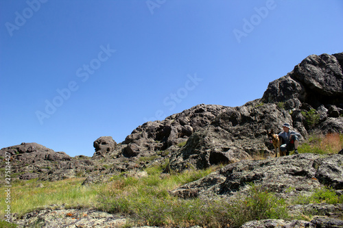 Amazing vegetation in rocky terrain on the way to the mountains