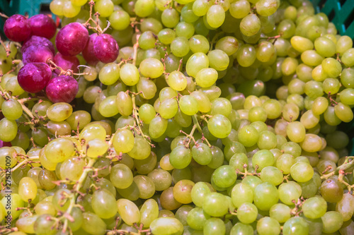 background made of delicious ripe grapes