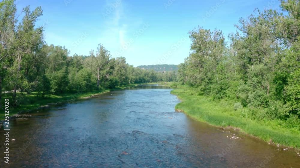 Follow the river between the trees. Flying birds.Green hills in a distant background. Follow the river between the trees. Flying birds.Green hills in a distant background.