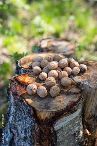 inshell walnuts lie on the stump in the open air