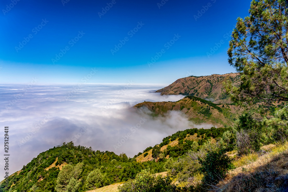 Fog Along Coastal Range of Mountains along Ocean