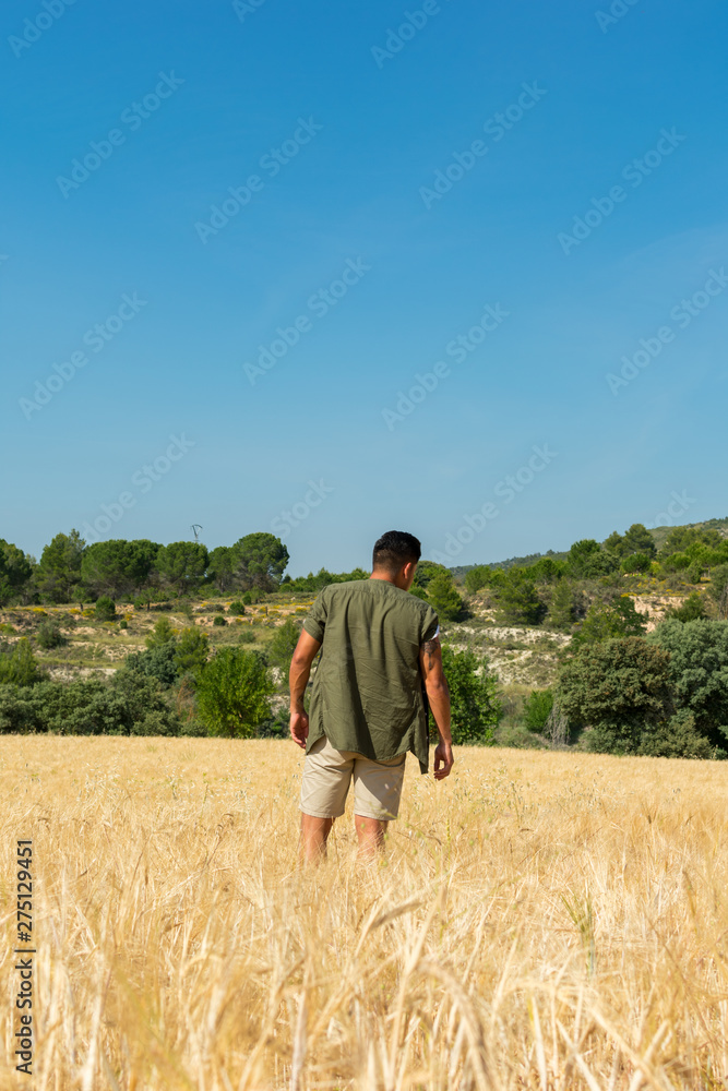 Man from back in a field in summer Man from back in a field in summer