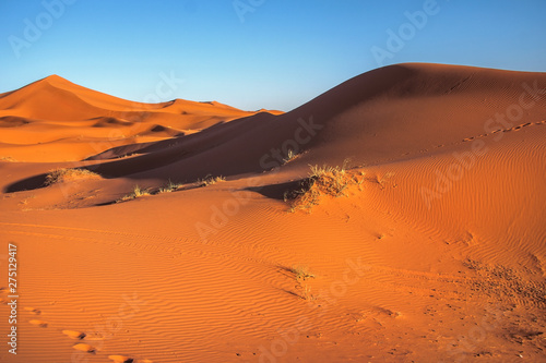 Just red sand dunes in Morocco desert