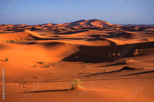 Just red sand dunes in Morocco desert