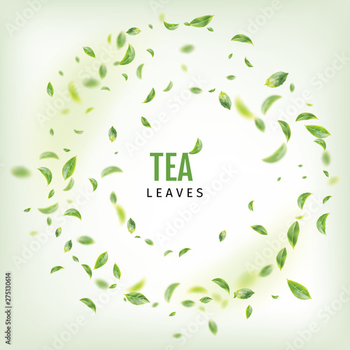 Flying Fresh Green Tea Leaves Vector Background