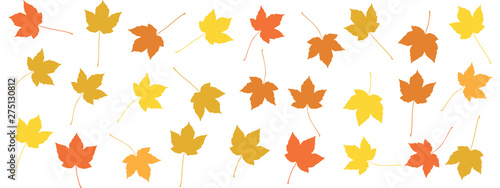 Colourful Autumn Maple Leaves Pattern on White Background