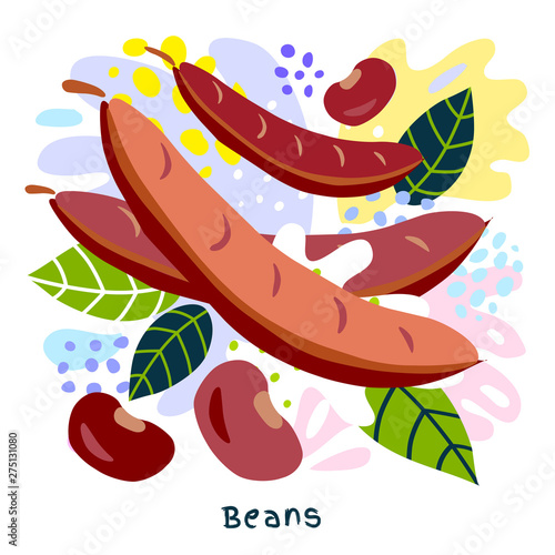 Fresh pod, beans haricot vegetable juice splash organic food vegetables condiment spice splatter on abstract coloful splatter splash background vector hand drawn illustrations