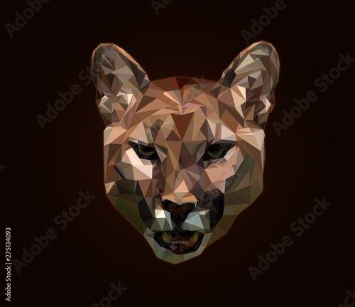 Cougar Puma