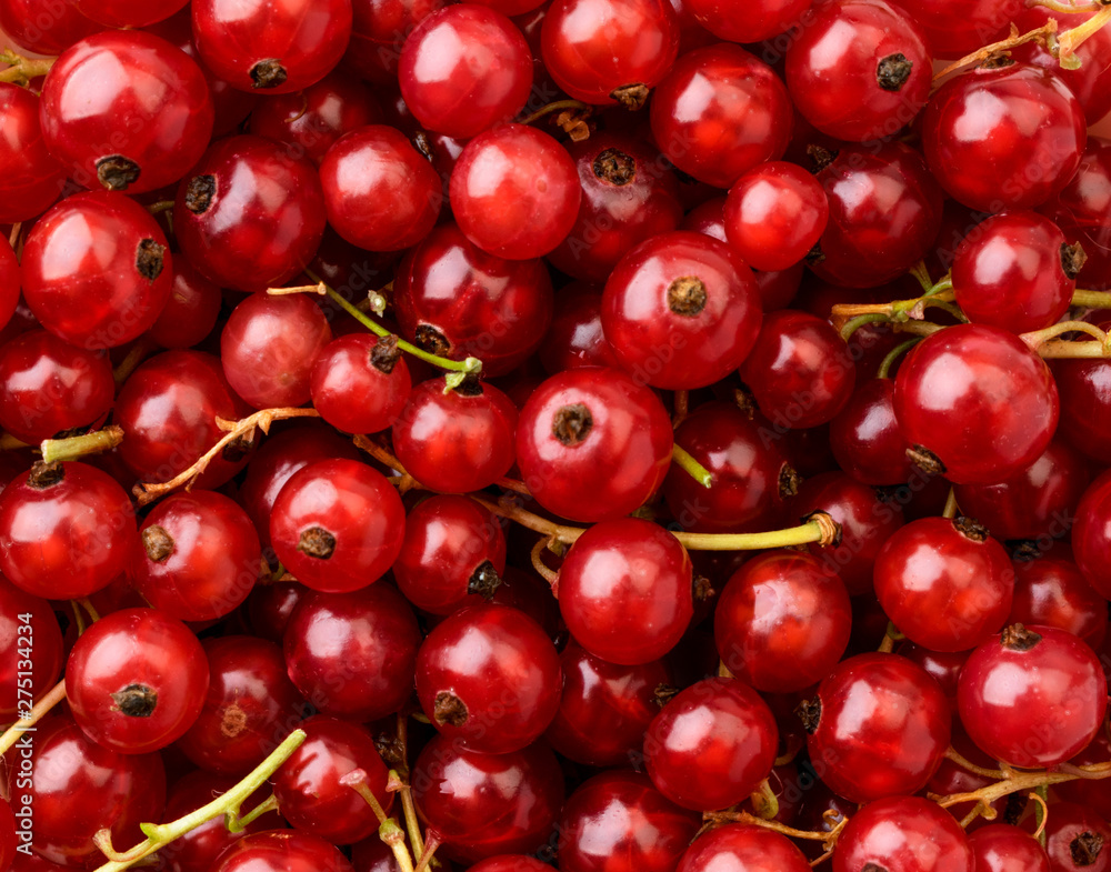 Red currant background. The view of the top. Red currant background. The view of the top.