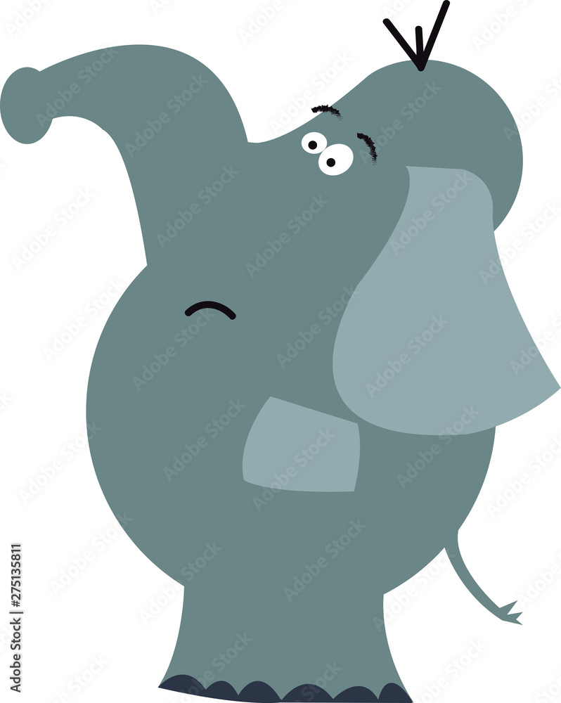 Fototapeta premium cute gray elephant standing looking up