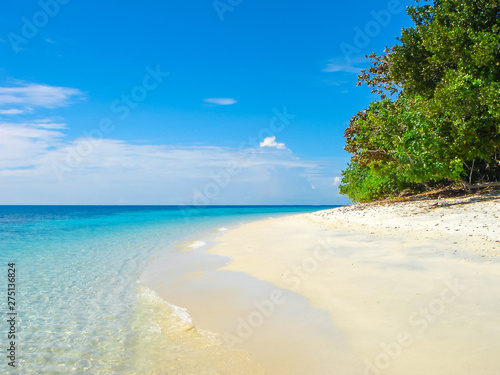 Fototapeta Naklejka Na Ścianę i Meble -  Beautiful Beach Sandy and Clear Sea with Luxury Scuba Diving and Snorkel in Island of Tropical on Holiday Summer or Spring Times. Travel The Paradise of Thailand.