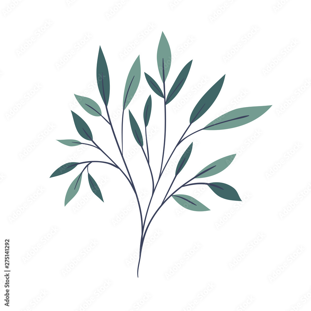 branch with leaves on white background branch with leaves on white background