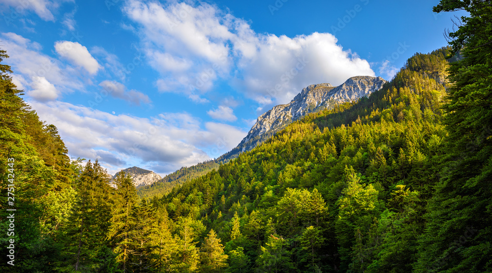 Bavaria, Germany. Evening in Bavarian Alps mountains with green forest trees and blue sky with clouds. Picturesque landscape panorama.