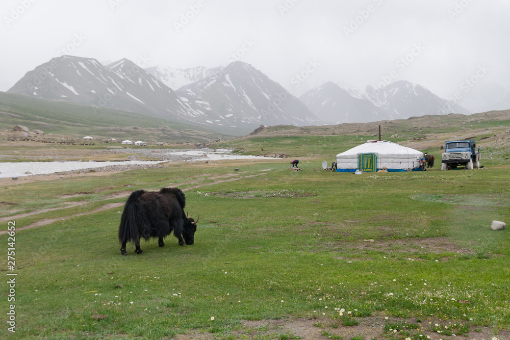 Fotka „Western Mongolia mountainous landscape. Yak and mongol yurt in Altai  Tavan Bogd National Park. Tsaagan Gol River Valley, Bayan-Ulgii Province,  Mongolia.“ ze služby Stock | Adobe Stock