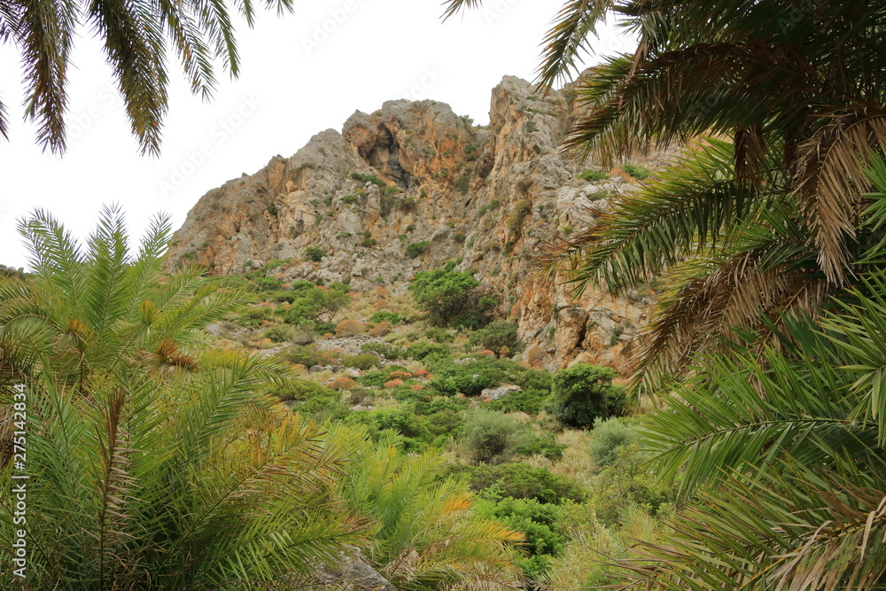 View around River and palm forest at Preveli, southern Crete , Greece View around River and palm forest at Preveli, southern Crete , Greece
