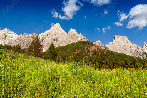 The Pale of San Martino group