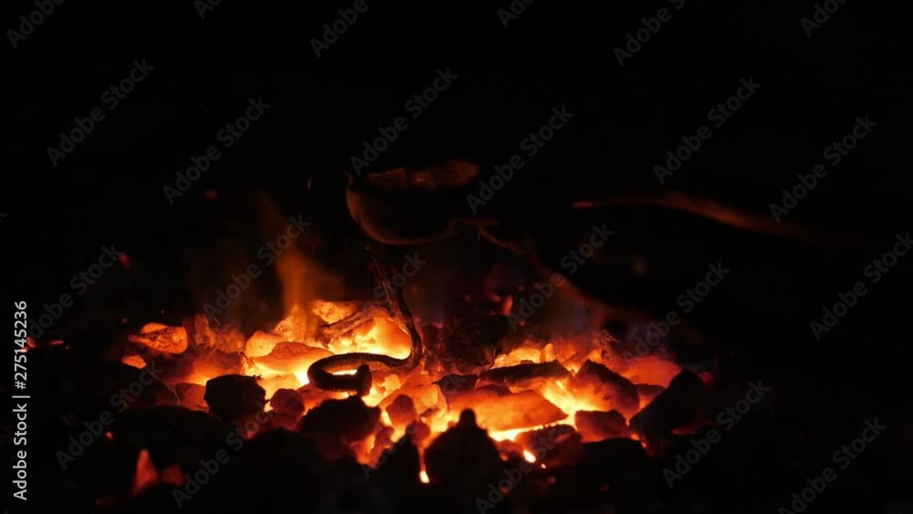 Flaming furnace fire with low red and yellow tongues in a Ukrainian smithy Flaming furnace fire with low red and yellow tongues in a Ukrainian smithy