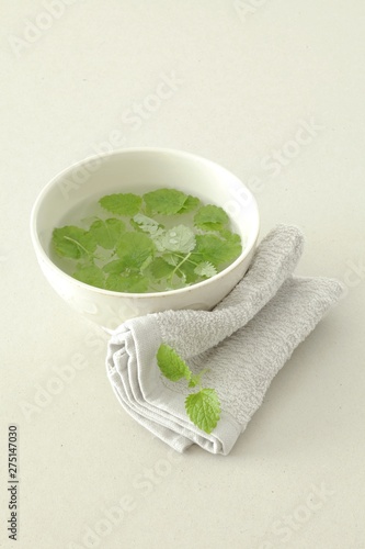 Lemon balm infusion, melissa