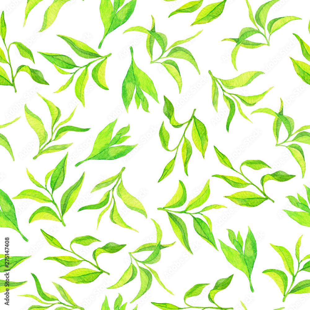 Seamless pattern with fresh green tea leaves on white background. Hand drawn watercolor illustration. Seamless pattern with fresh green tea leaves on white background. Hand drawn watercolor illustration.