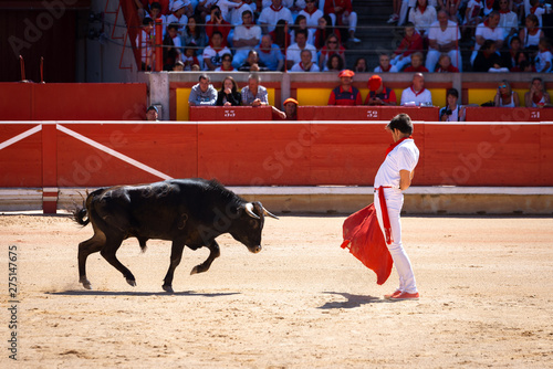 Obraz na płótnie Young bullfighter in Pamplona bullring, Spain w salonie