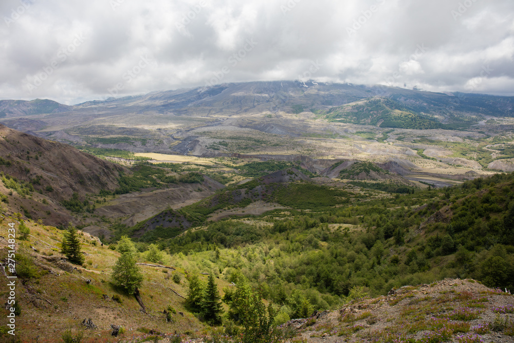 Fototapeta premium Mt St. Helens