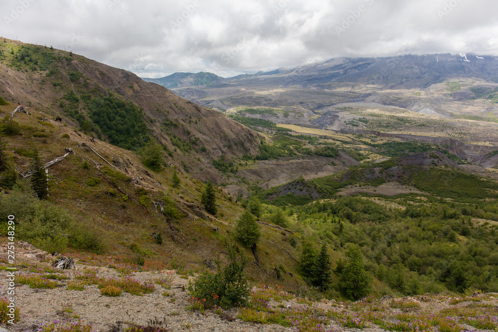 Naklejka premium Mt St. Helens