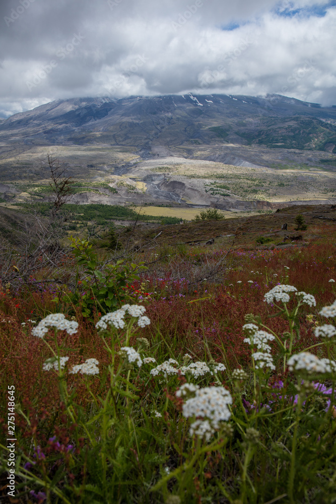 Fototapeta premium Mt St. Helens