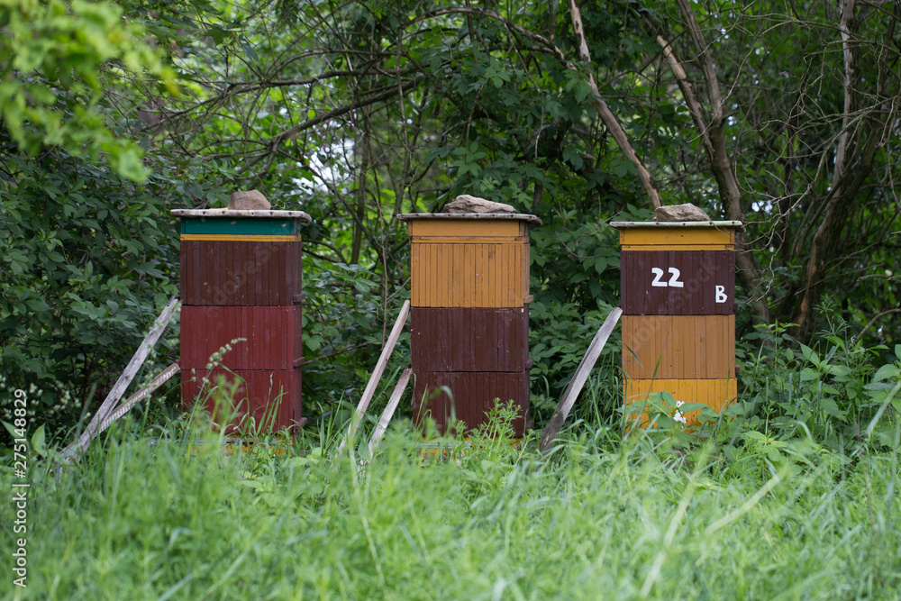 beehive, bees entering the hive. Beekeeping and honey collection