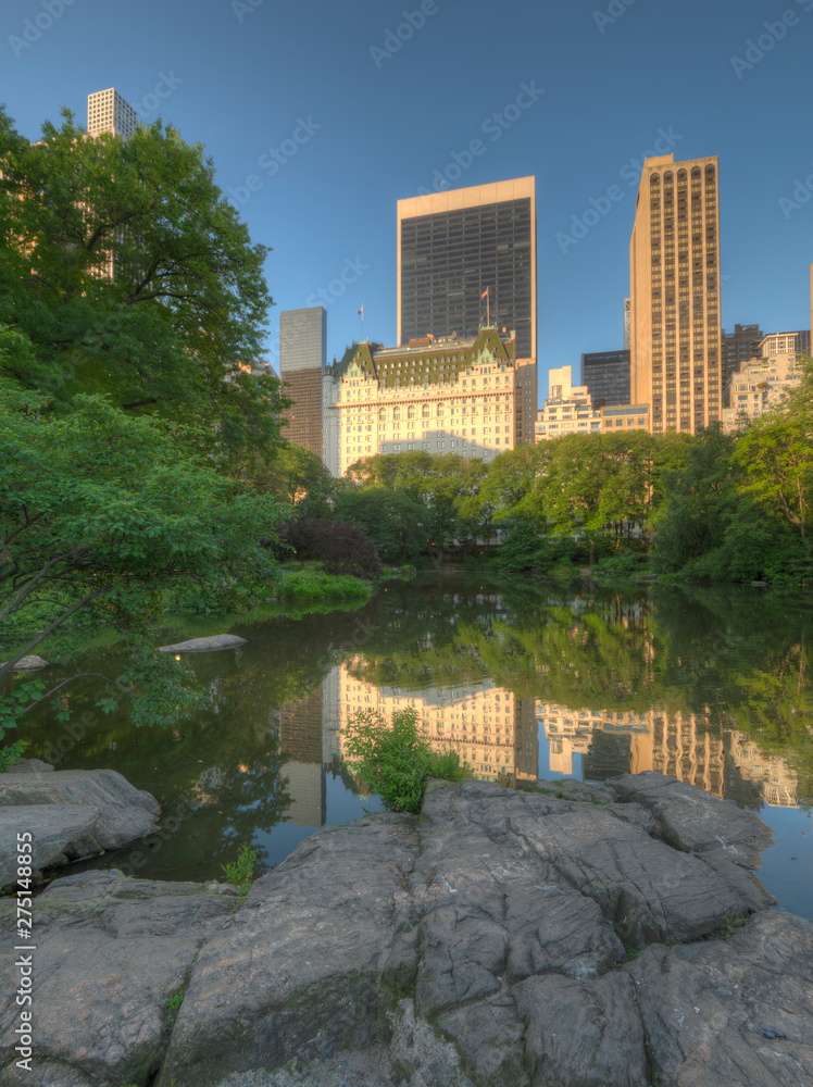 Central Park in spring Central Park in spring