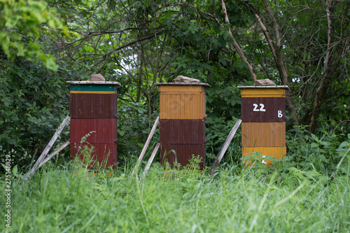 Obraz na płótnie beehive, bees entering the hive. Beekeeping and honey collection w salonie
