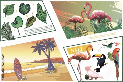 Sketch Bali Colorful Composition