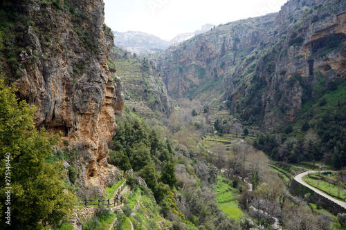 Quadisha valley