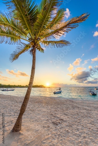 Fototapeta Naklejka Na Ścianę i Meble -  Akumal bay - Caribbean white beach in Riviera Maya, coast of Yucatan and Quintana Roo, Mexico