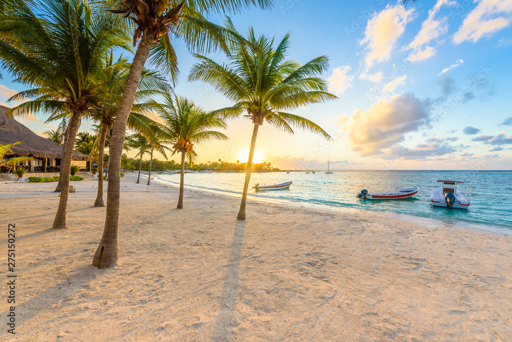 Obraz premium Akumal bay - Caribbean white beach in Riviera Maya, coast of Yucatan and Quintana Roo, Mexico
