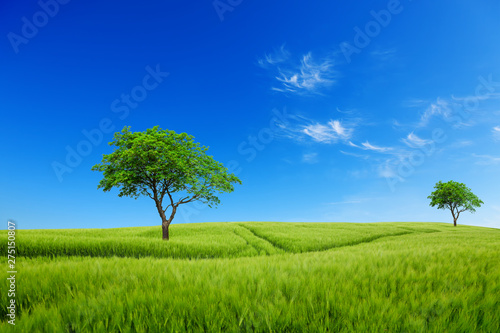 Meadow with trees under blue sky. Green planet