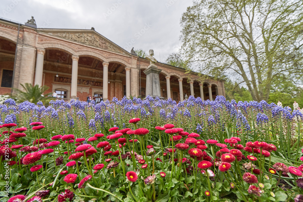 Beautiful flowers Muscari on the background of a classic building in the European city of Baden Baden