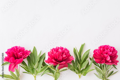 Wallpaper Mural Flat lay composition with red peonies and green leaves on a white background Torontodigital.ca