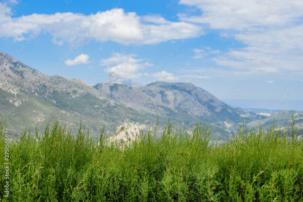 Fototapeta premium Beautiful rocky mountains.