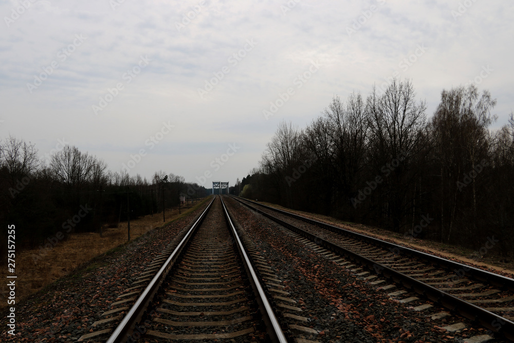 A railway along which trees grow with small clouds. Background