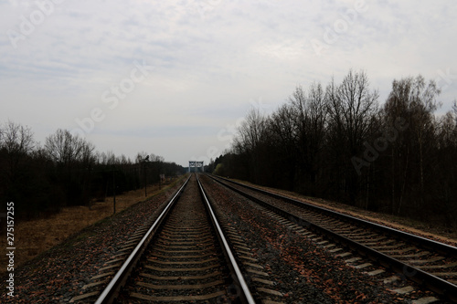 A railway along which trees grow with small clouds. Background © Dzmitry