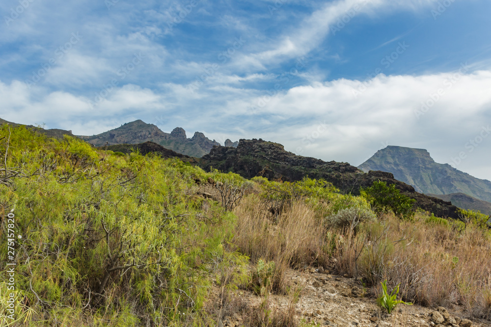 Stony path at upland surrounded by endemic plants. Sunny day. Clear blue sky and some clouds above the mountains. Rocky tracking road in dry mountain area. Tenerife Stony path at upland surrounded by endemic plants. Sunny day. Clear blue sky and some clouds above the mountains. Rocky tracking road in dry mountain area. Tenerife