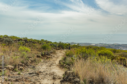 Billede på lærred Stony path at upland surrounded by endemic plants