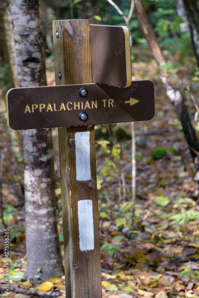 views along virginia creeper trail during autumn
