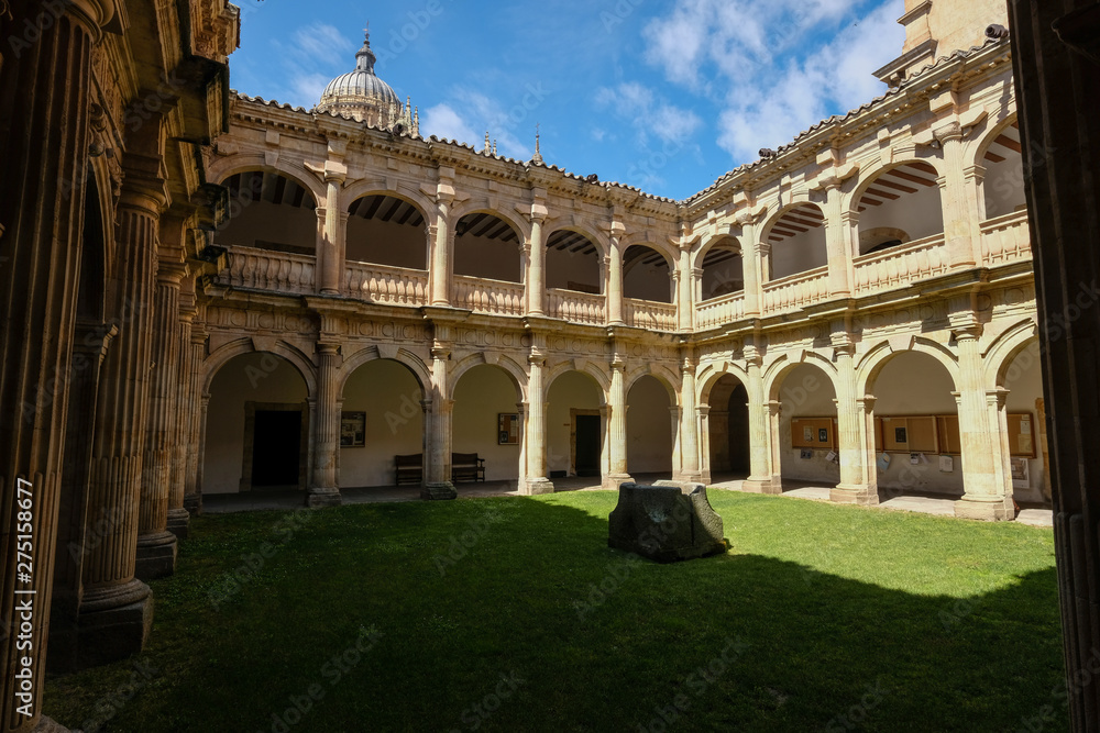 Palacio de Anaya detail